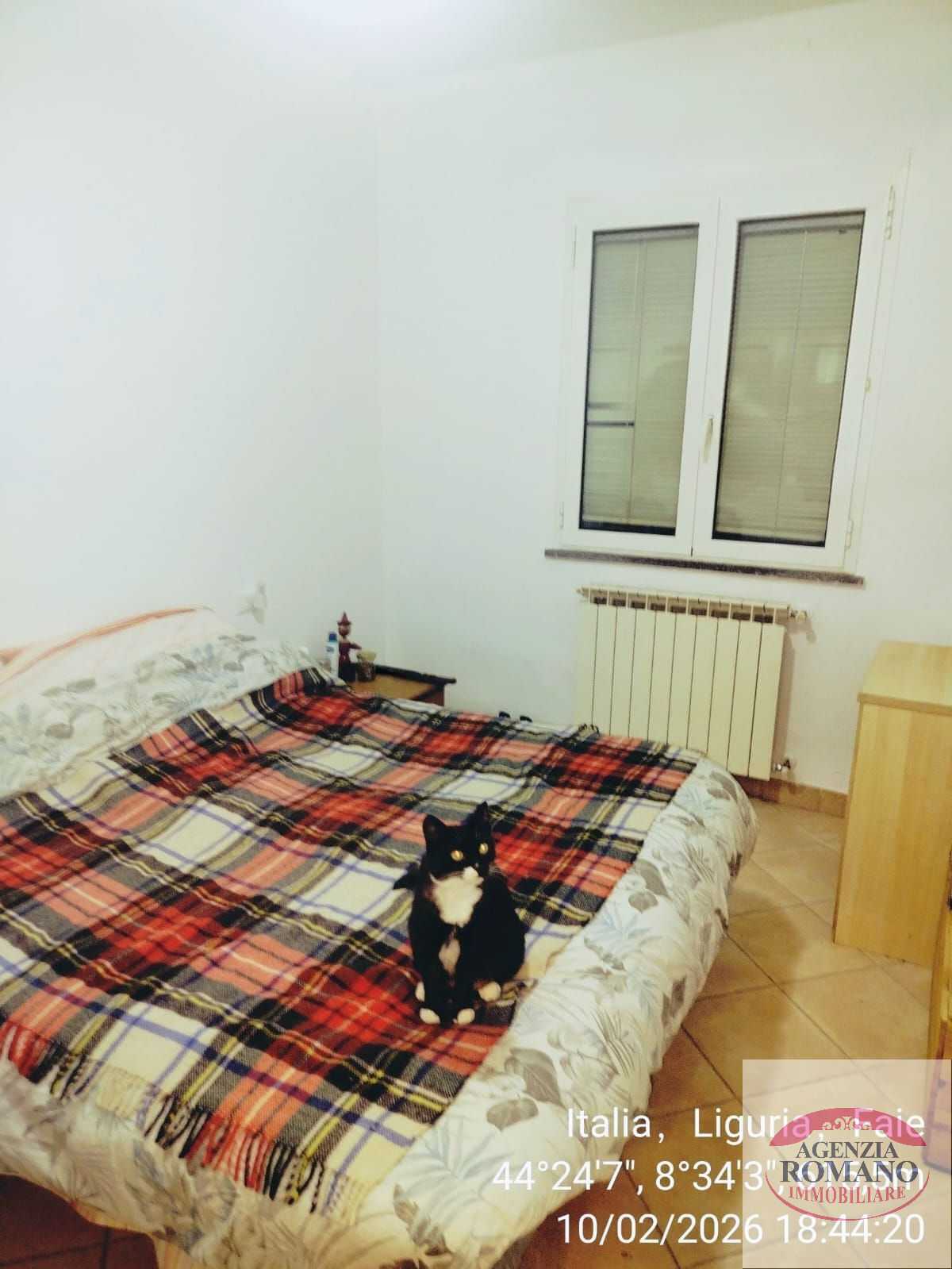  - foto 18