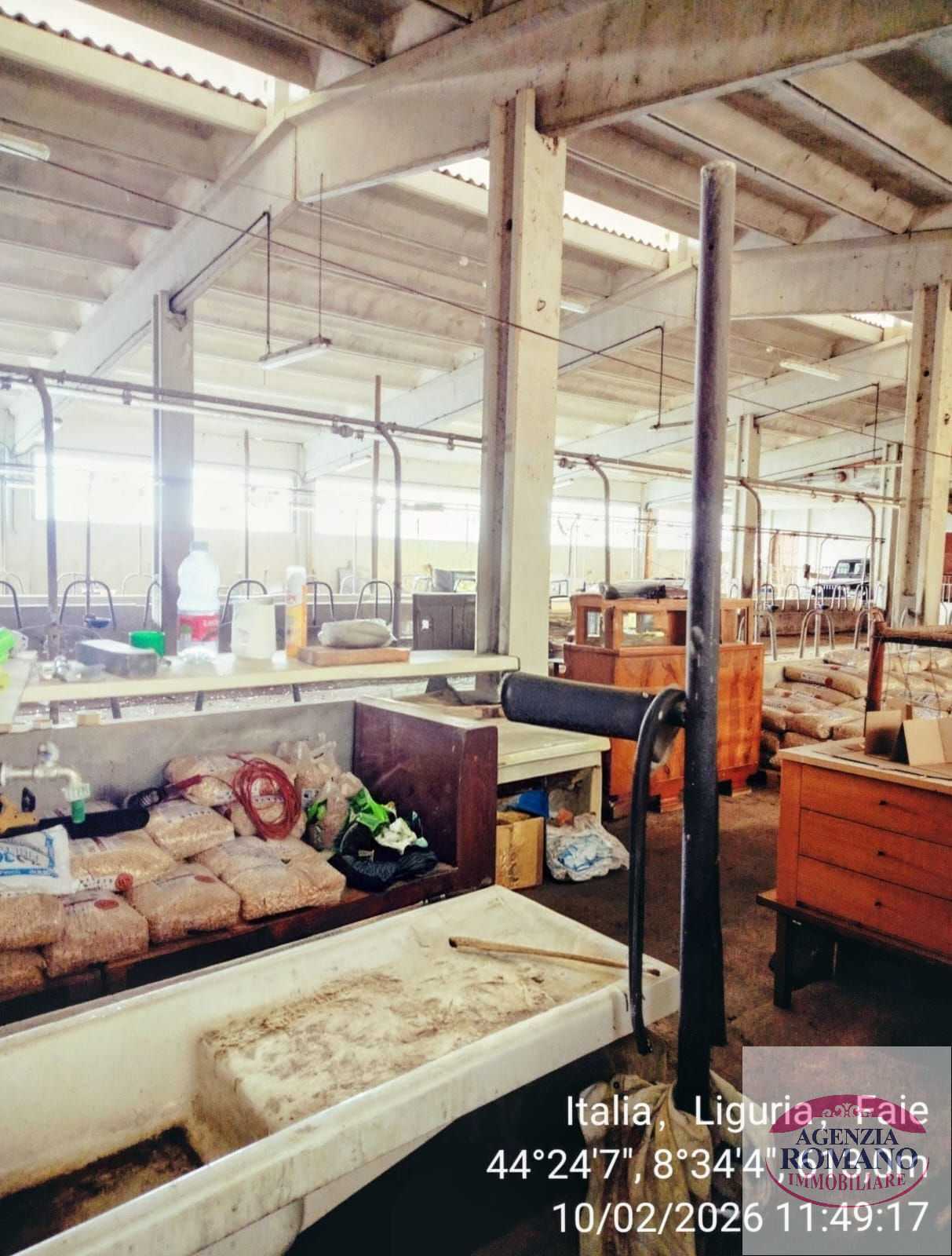  - foto 40
