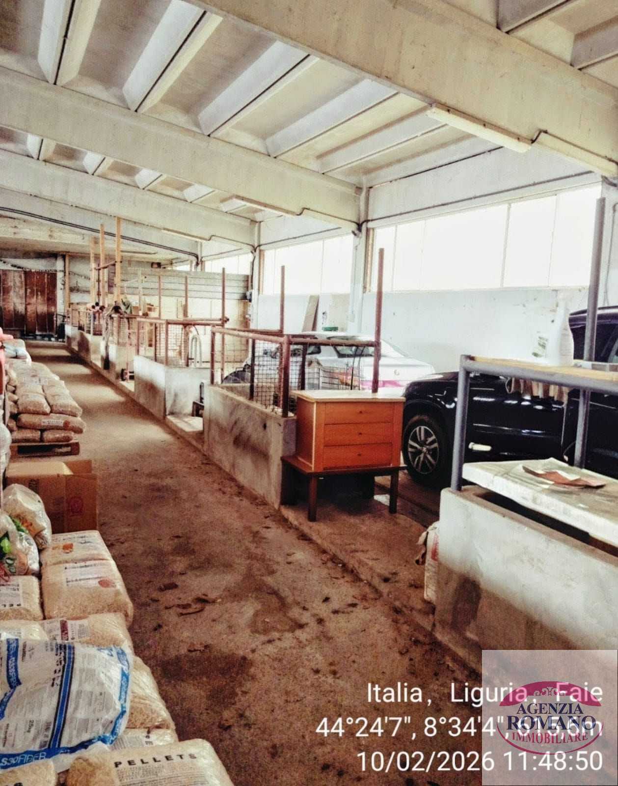  - foto 46