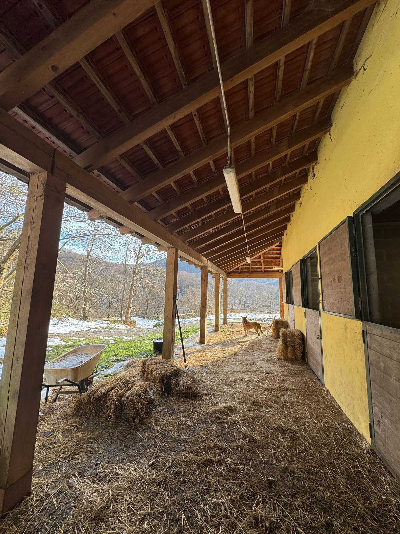  - foto 44