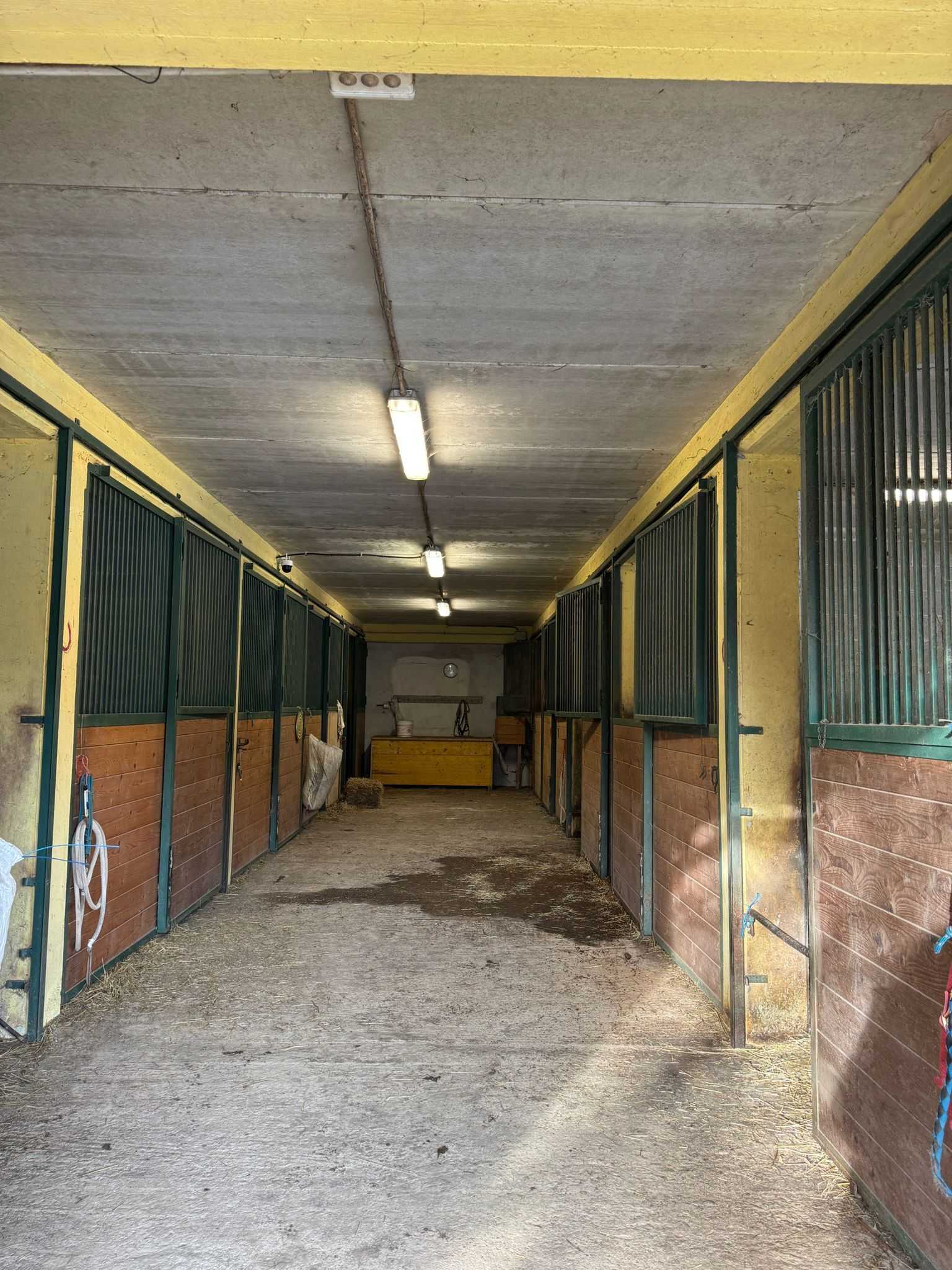  - foto 47