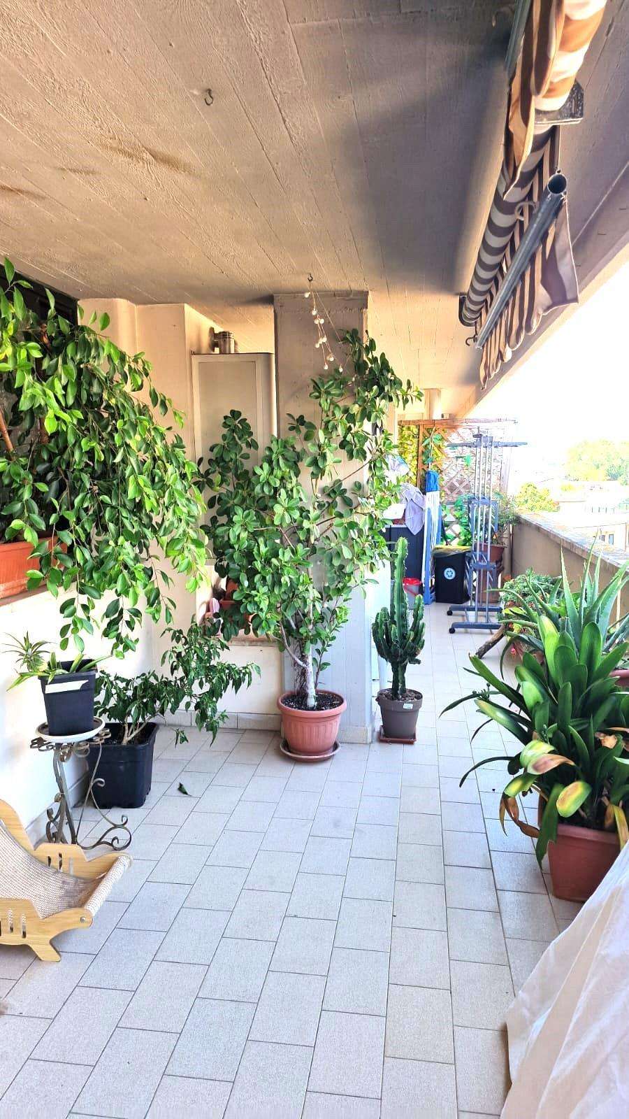  - foto 5