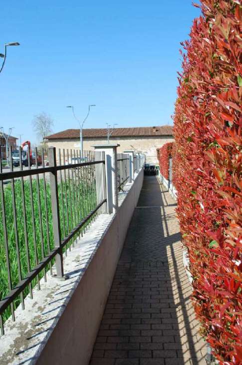  - foto 13