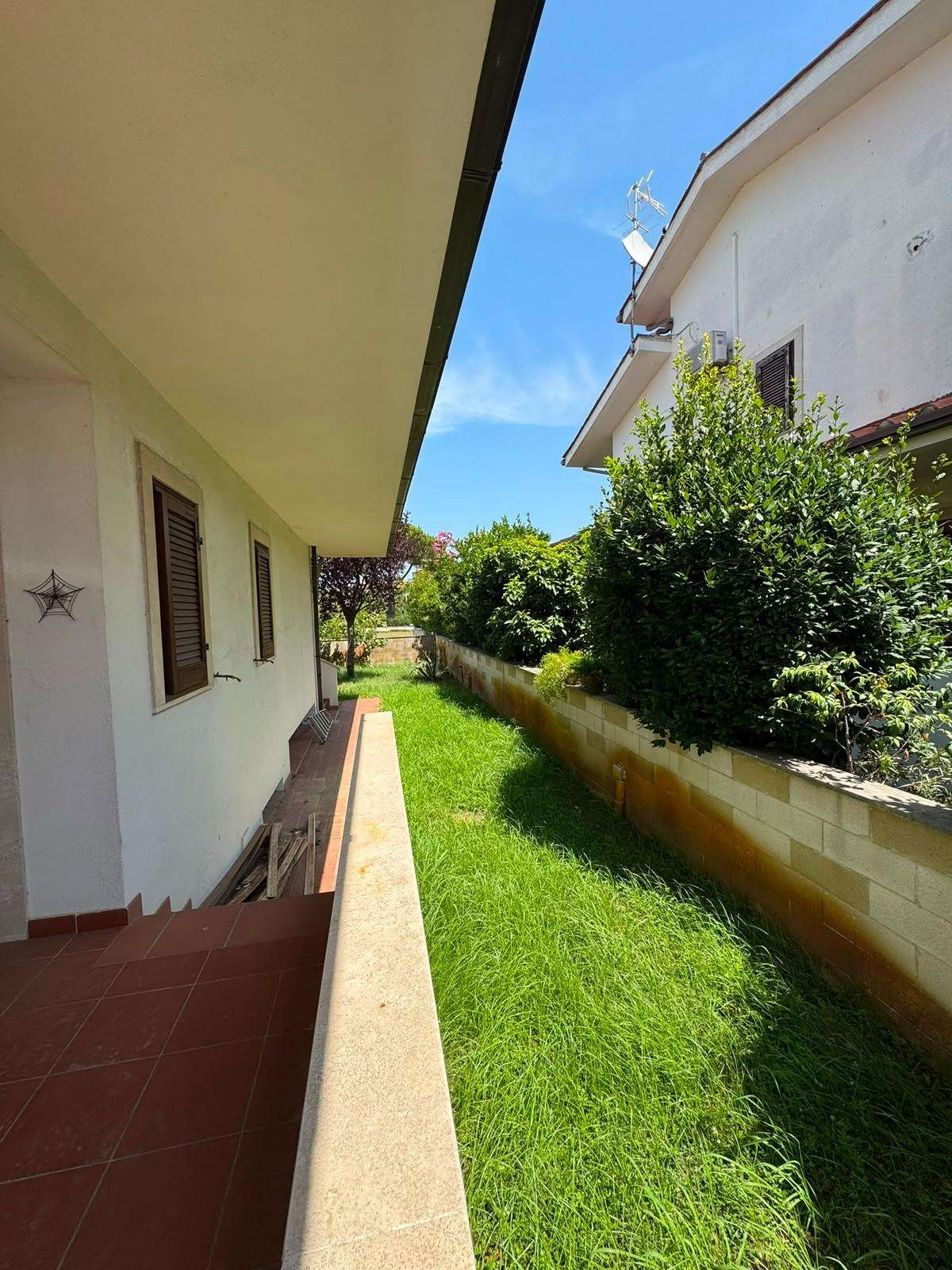  - foto 12