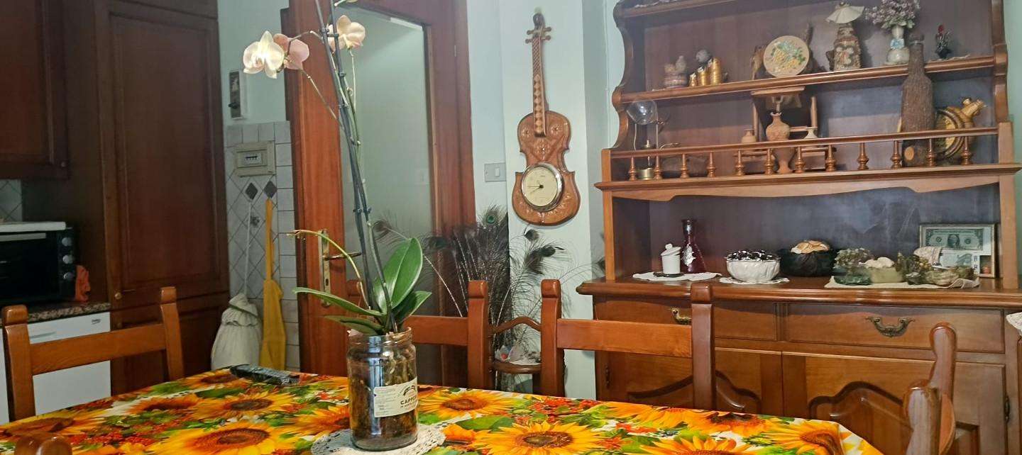  - foto 13