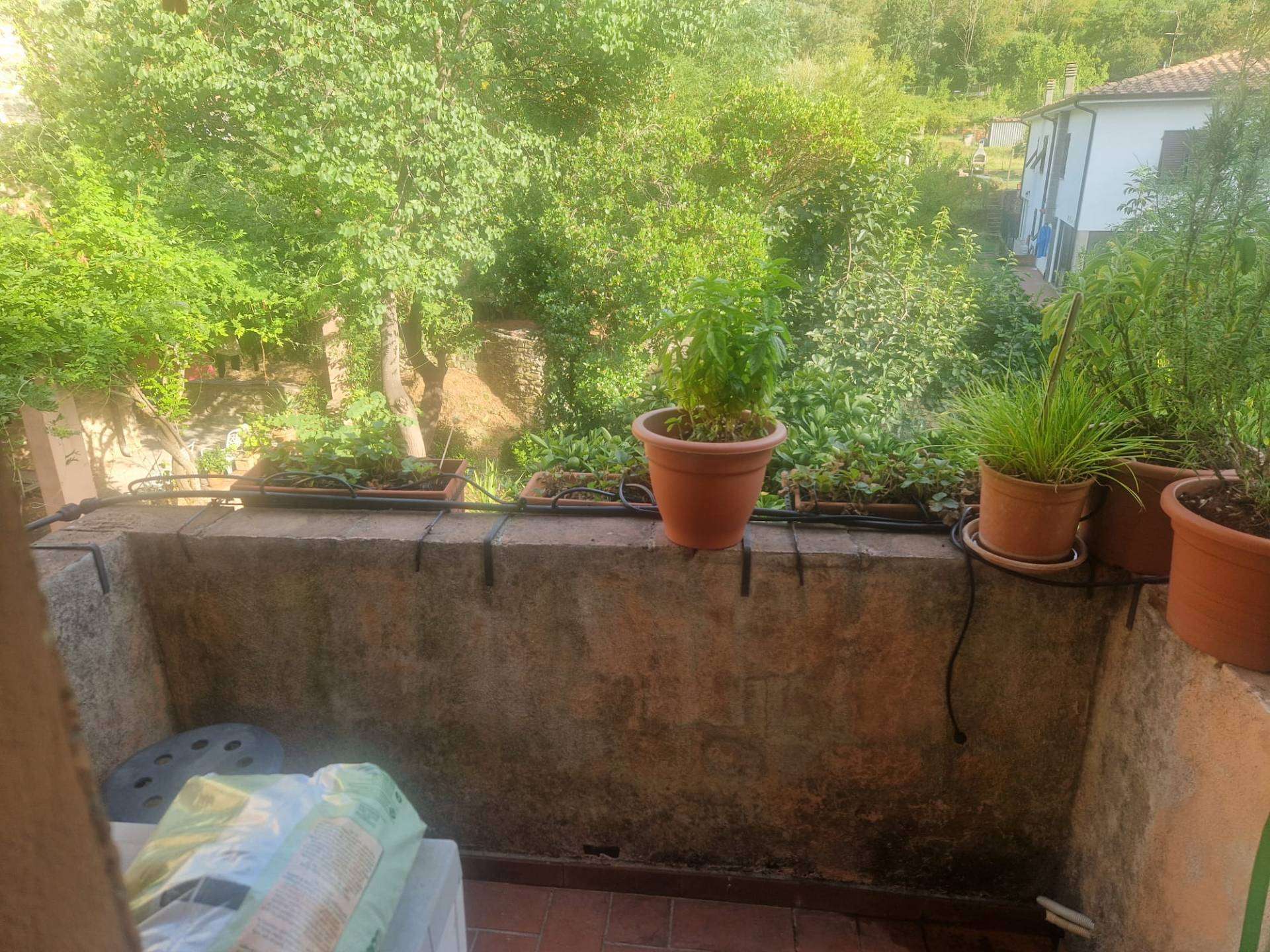  - foto 21