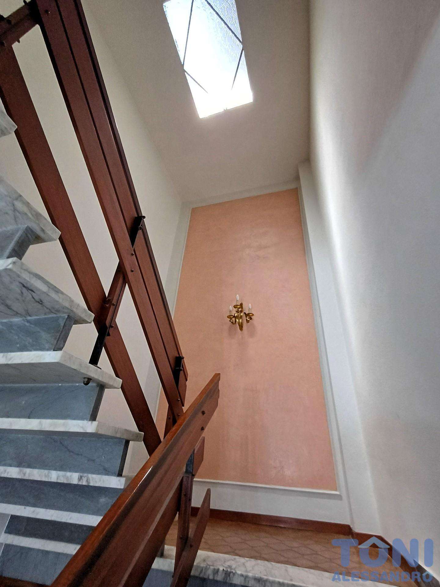  - foto 12
