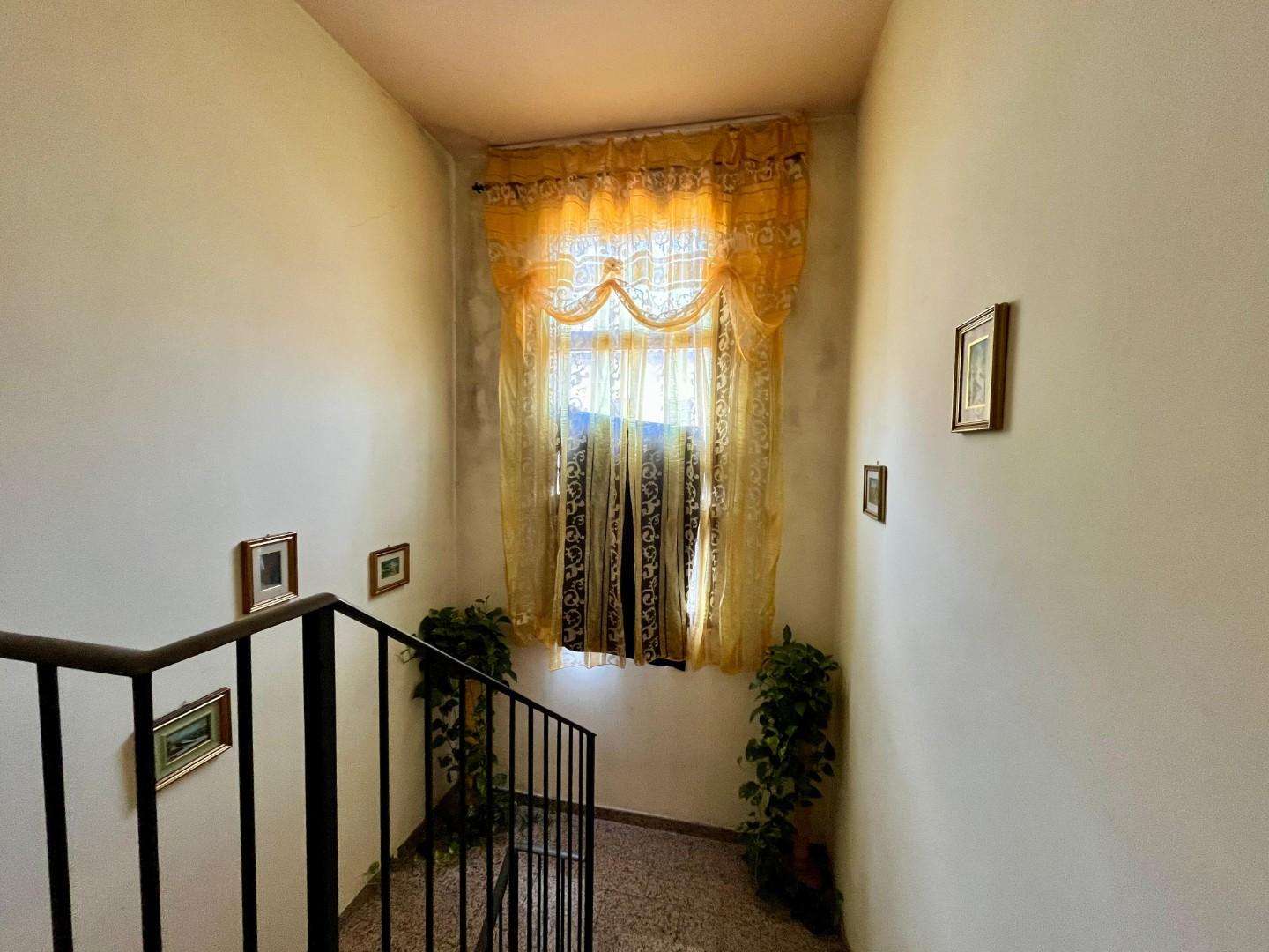  - foto 12