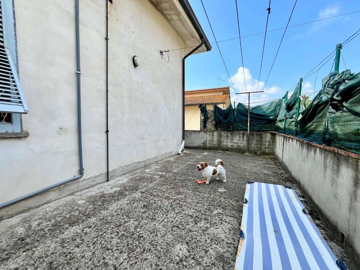  - foto 17