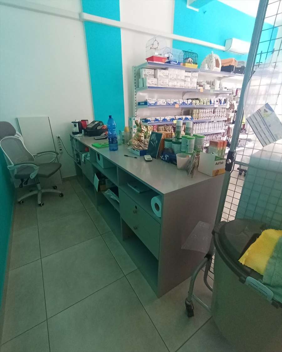  - foto 5