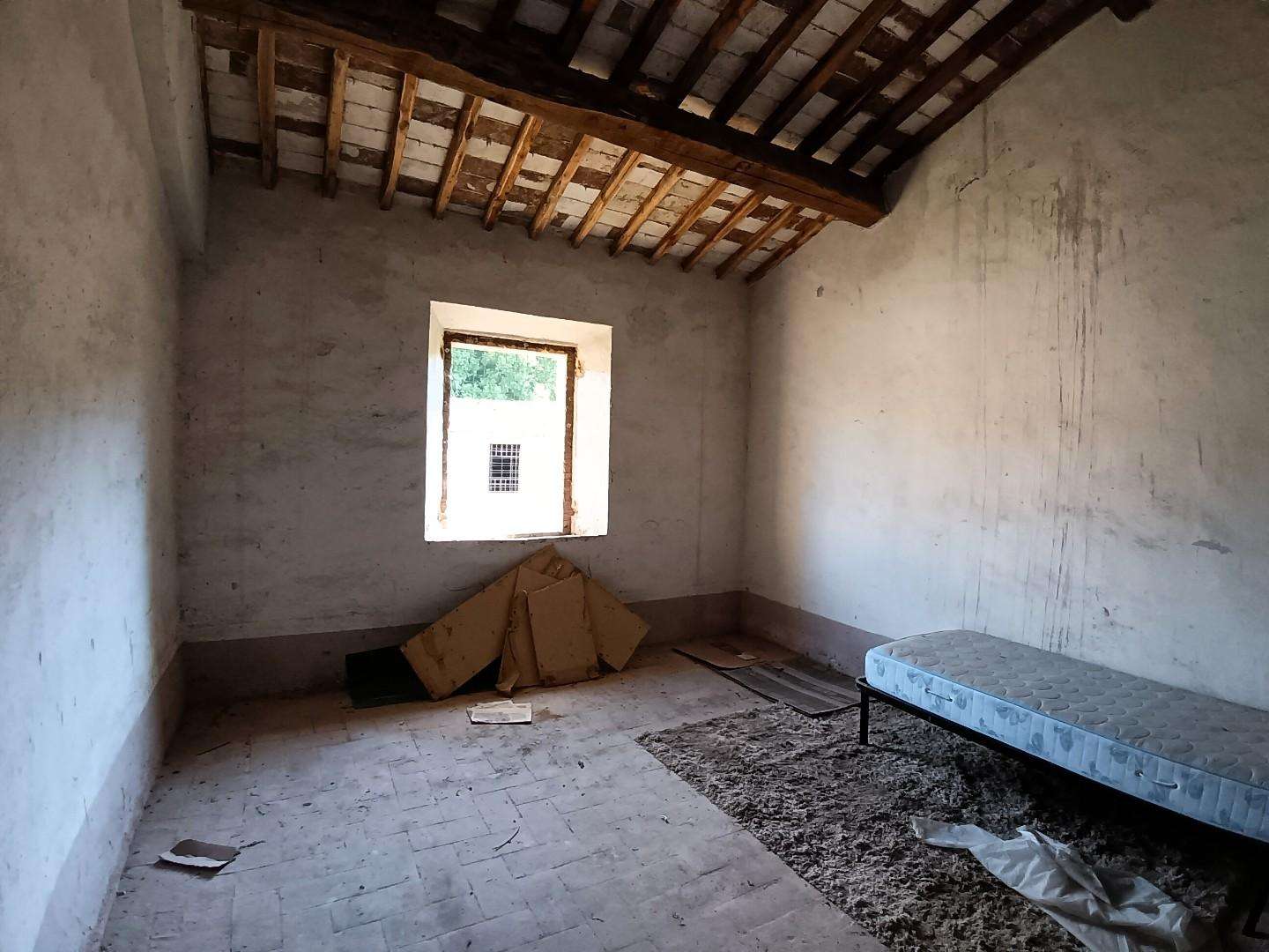  - foto 13