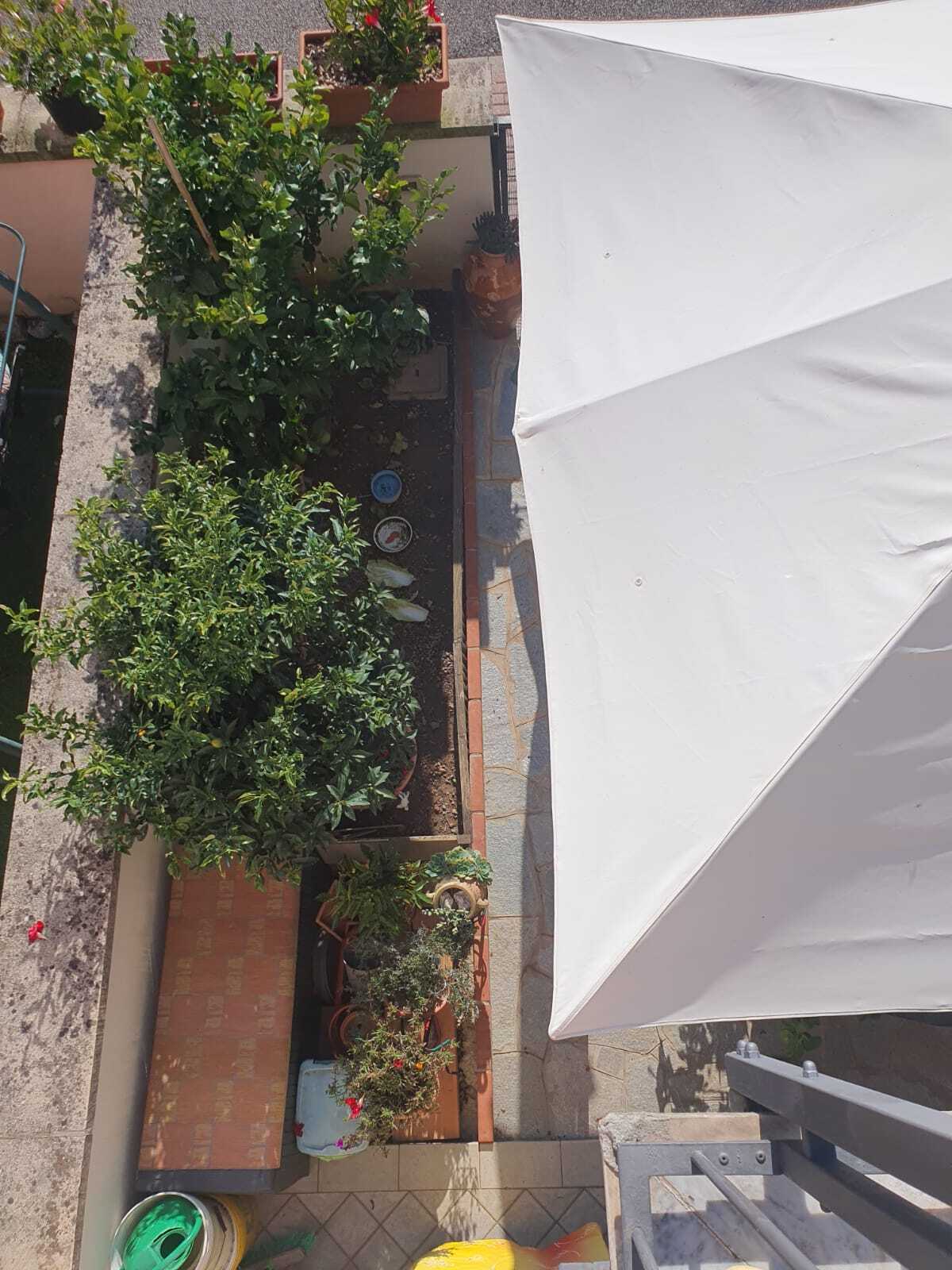  - foto 5