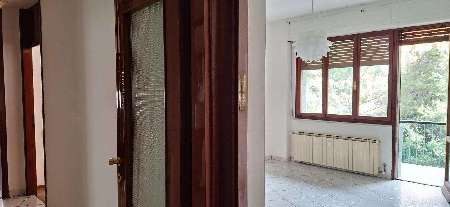  - foto 11