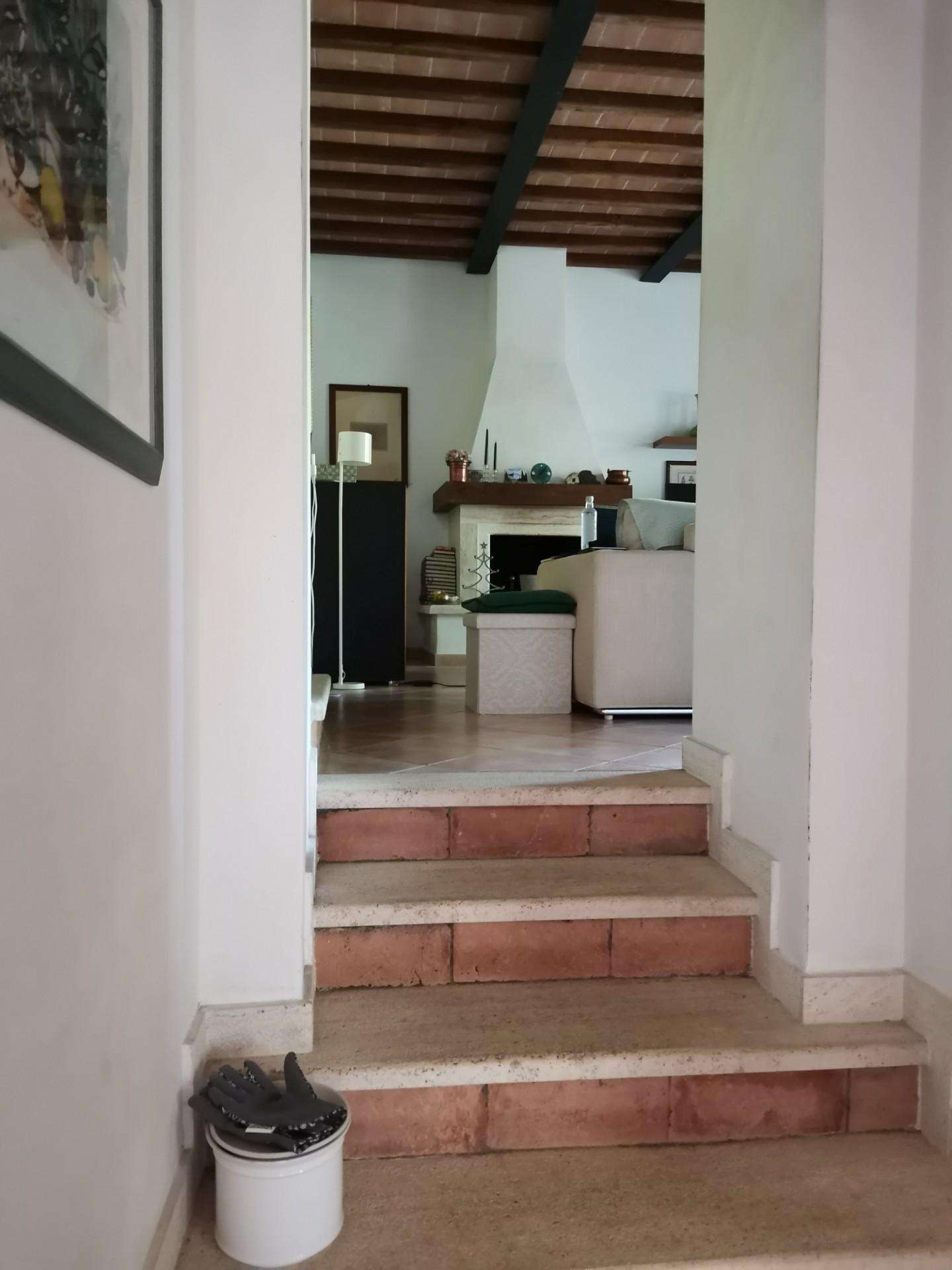  - foto 31