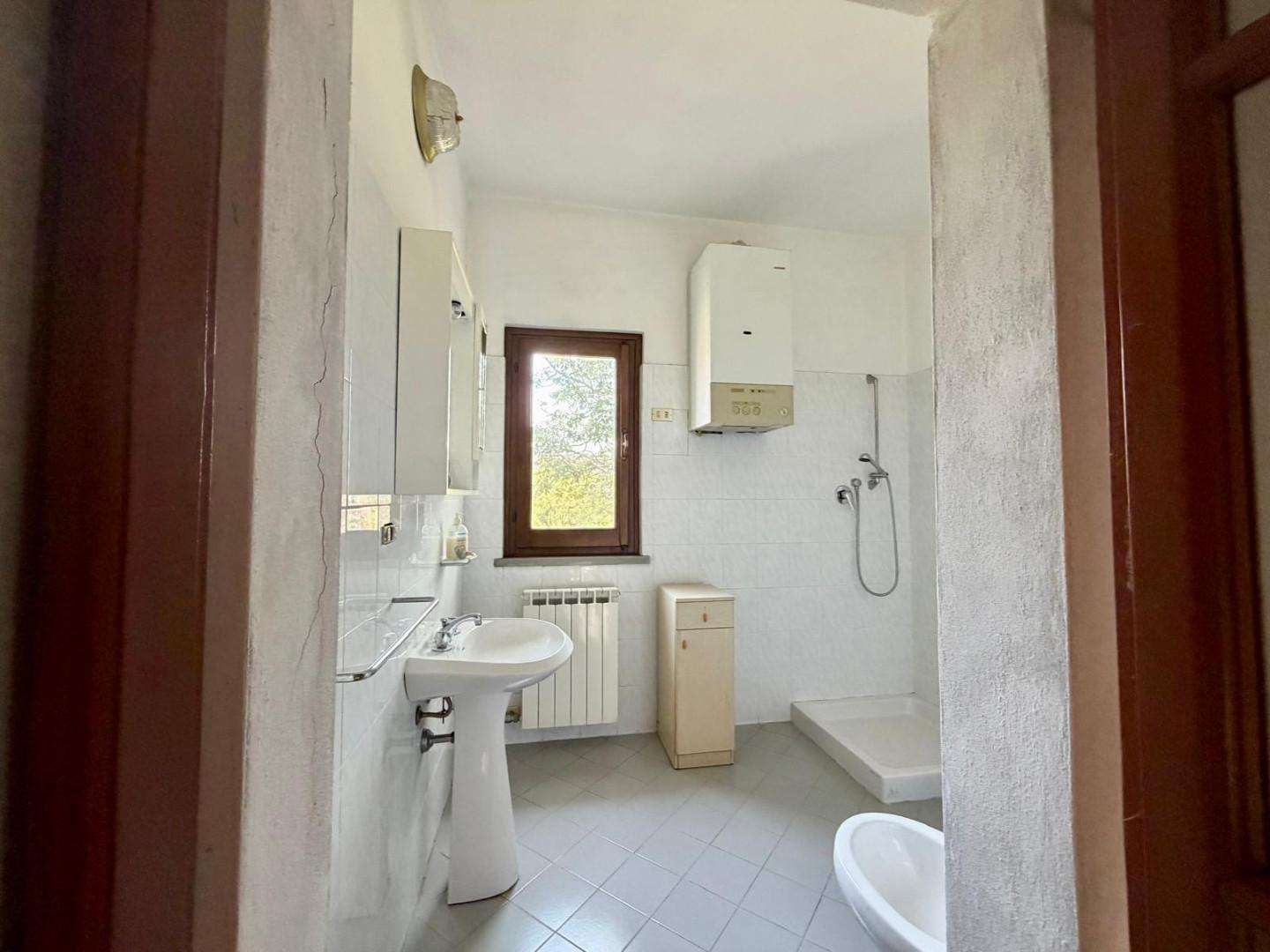  - foto 12