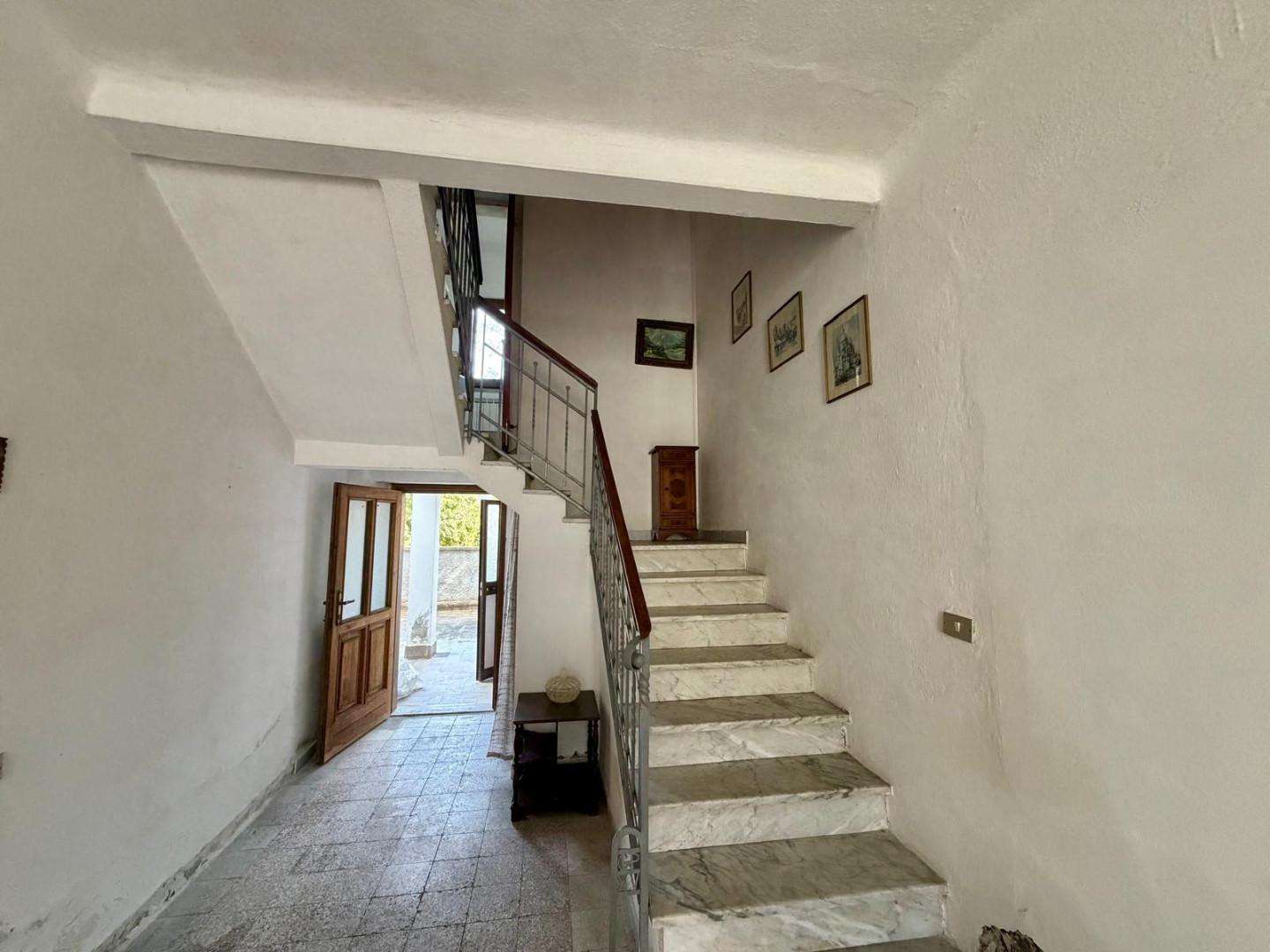  - foto 14