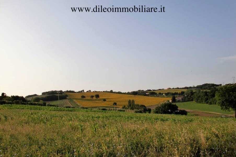  - foto 10