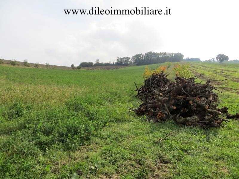  - foto 11