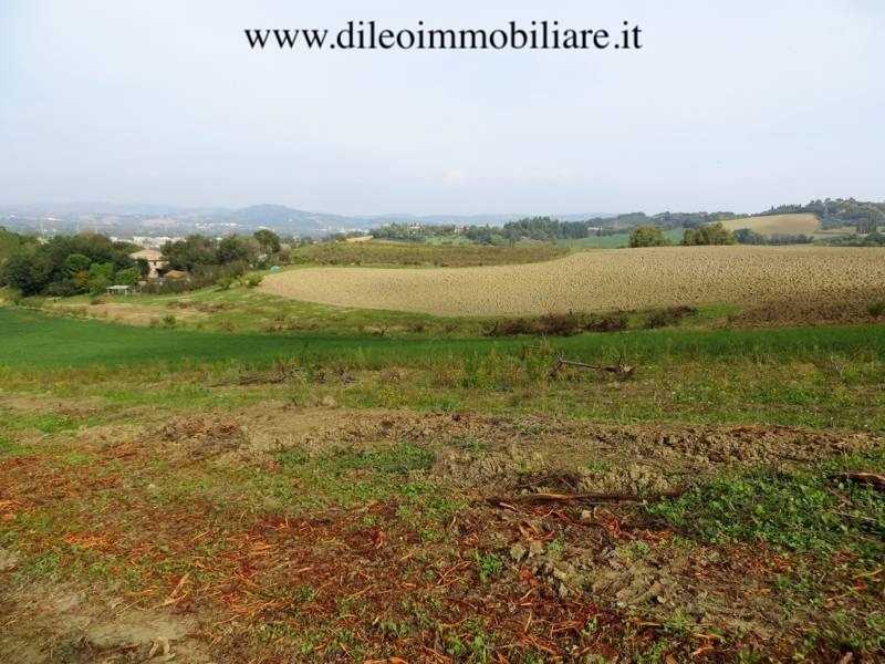  - foto 12
