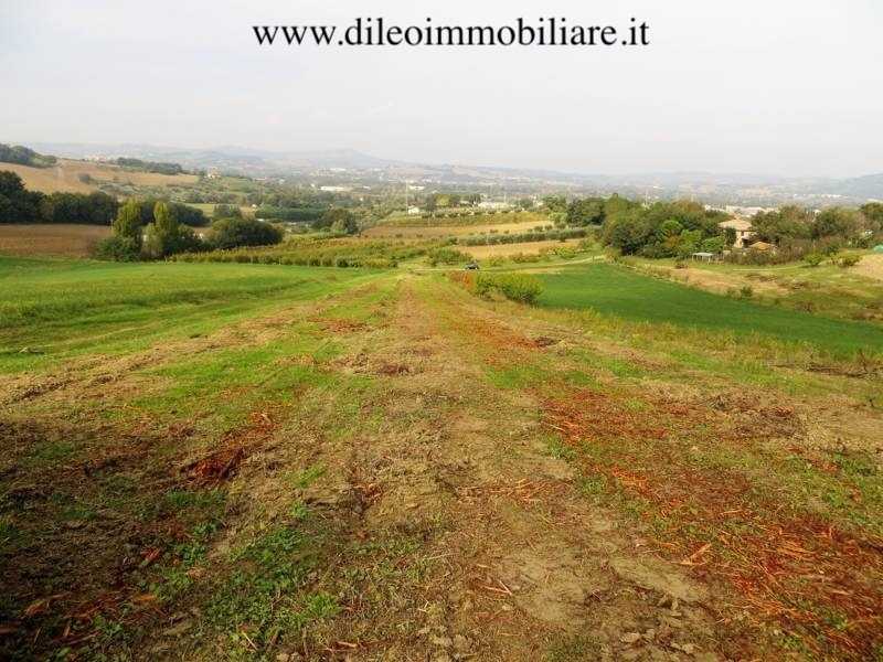  - foto 14