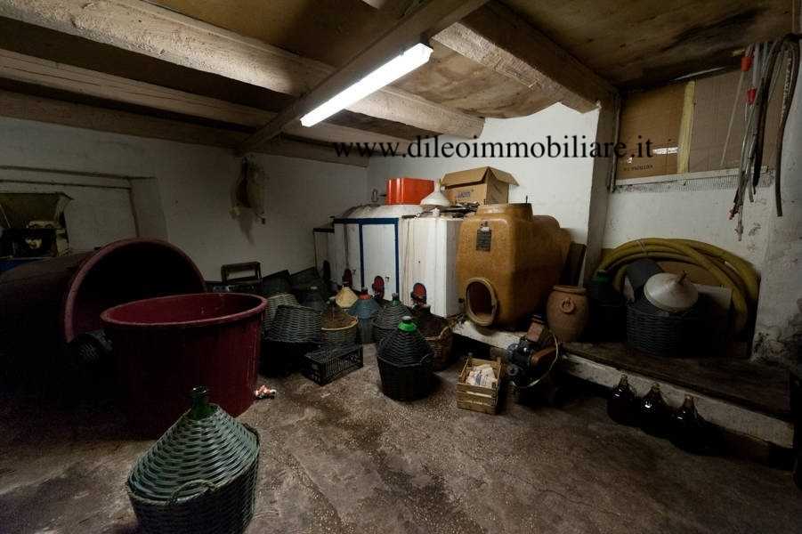  - foto 18