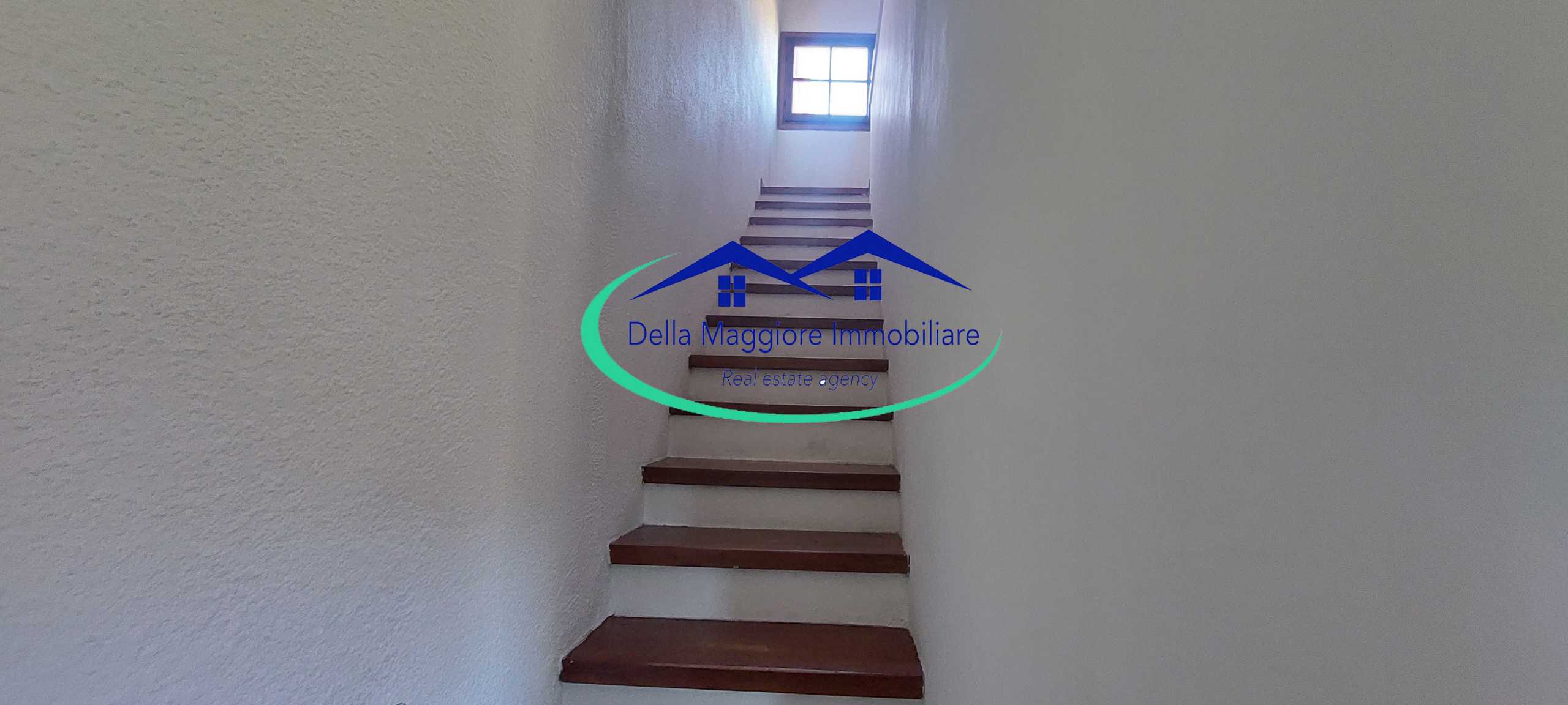  - foto 19