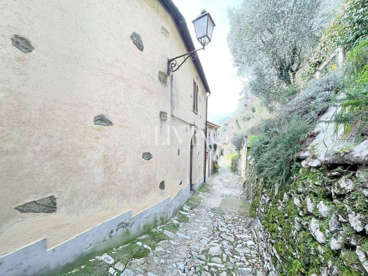  - foto 15