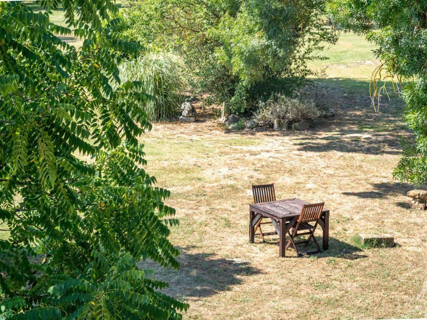  - foto 48
