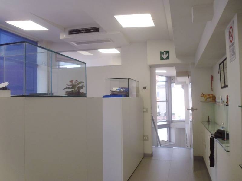  - foto 2