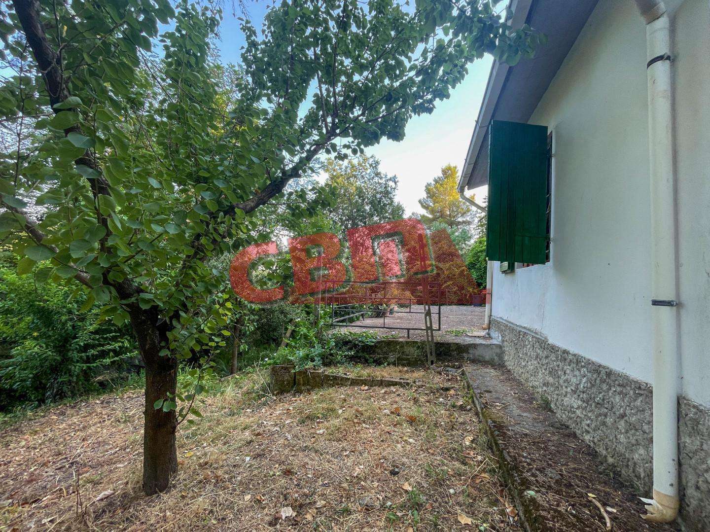  - foto 43