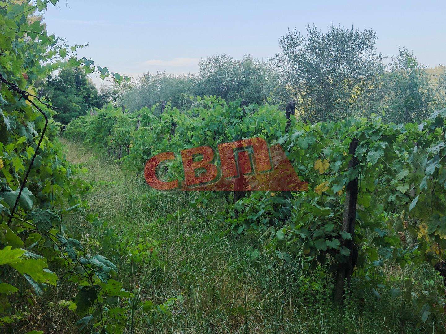  - foto 46