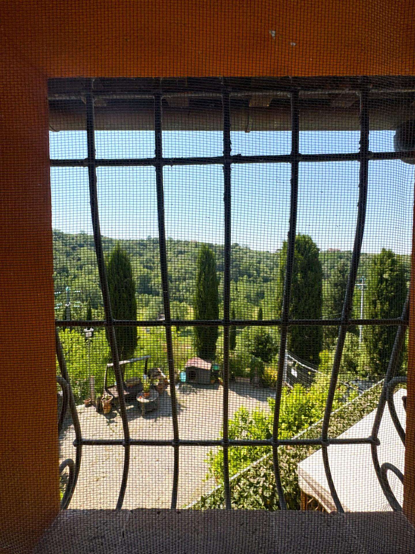  - foto 11