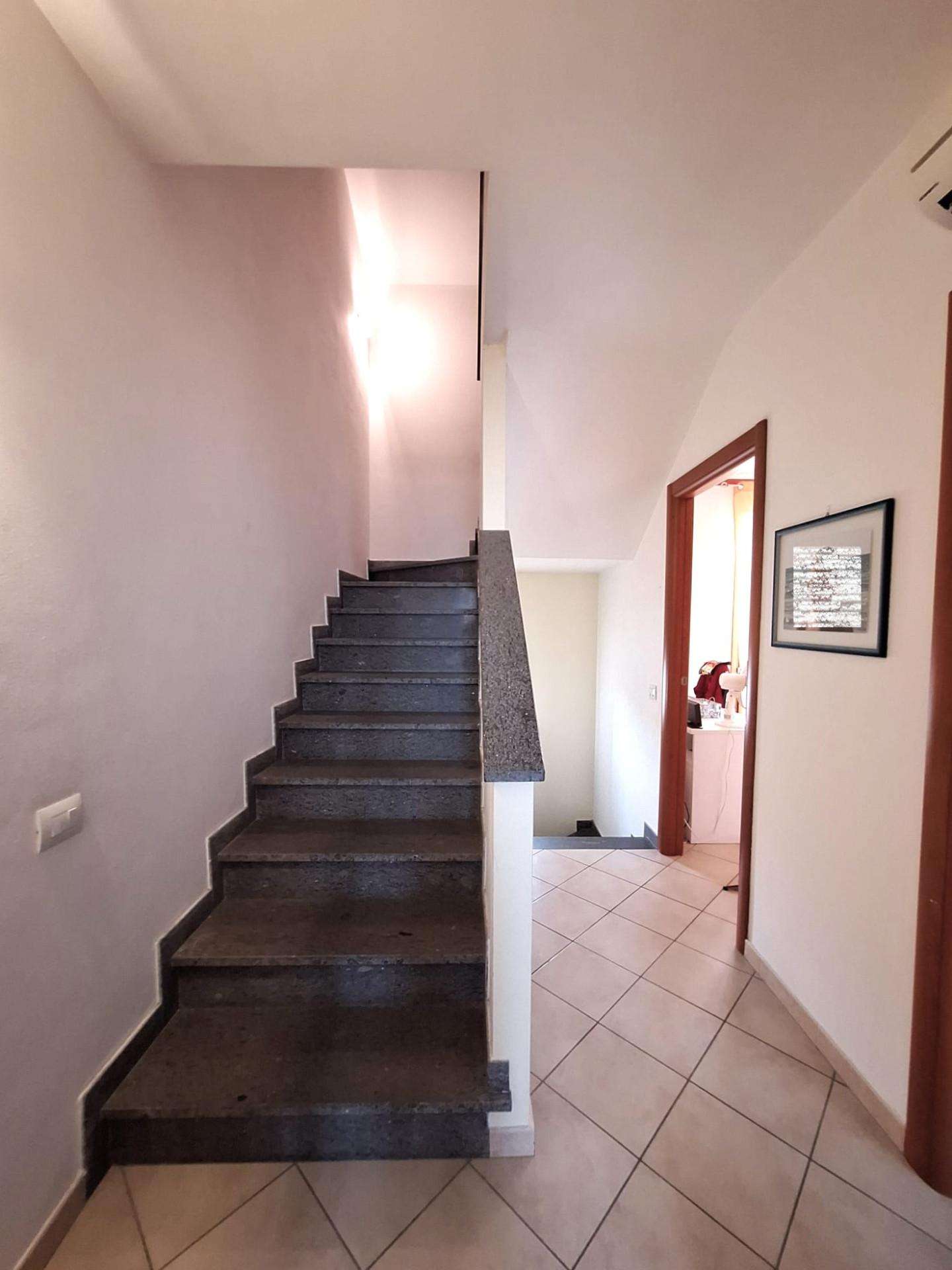 - foto 14