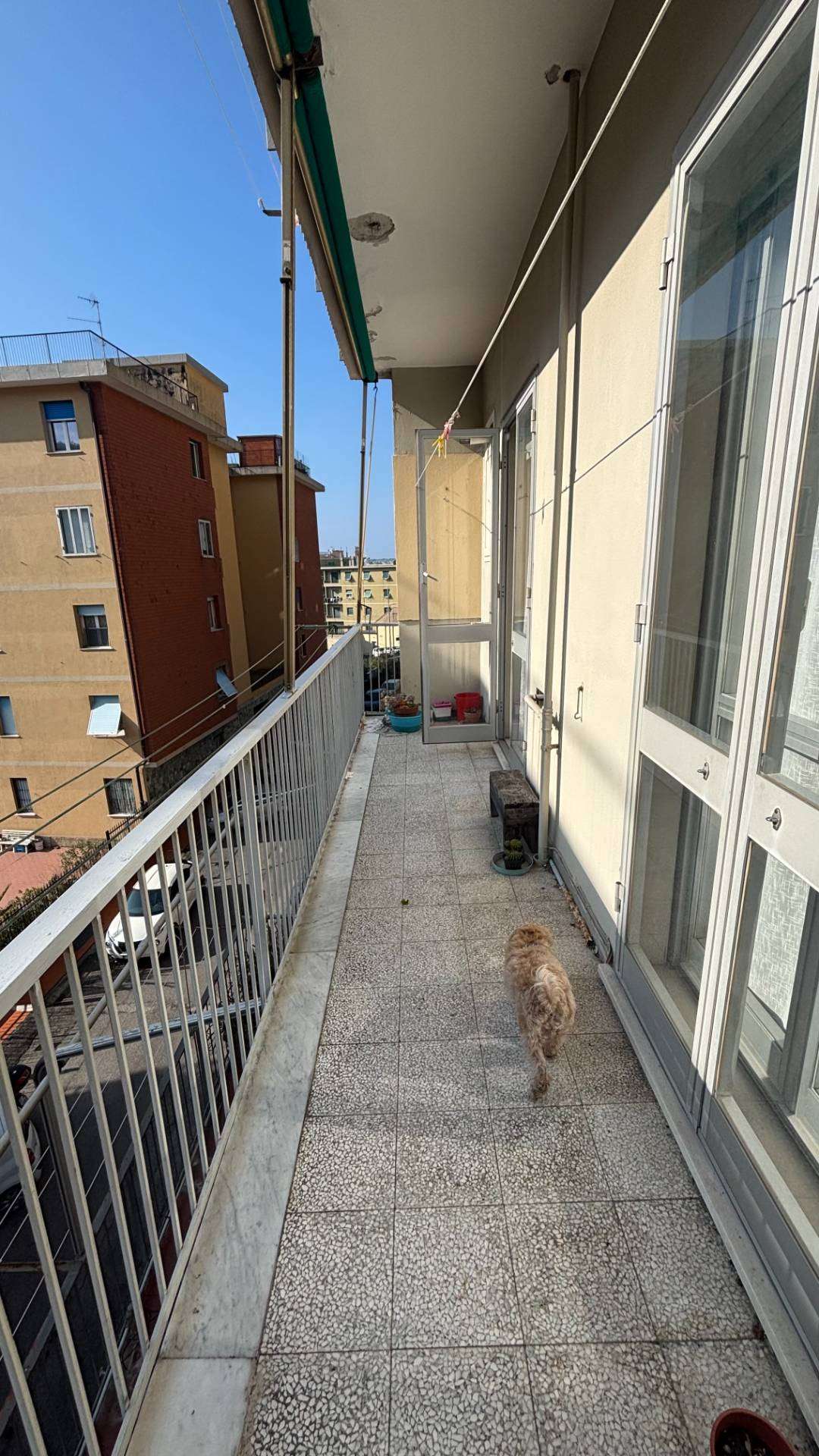  - foto 16