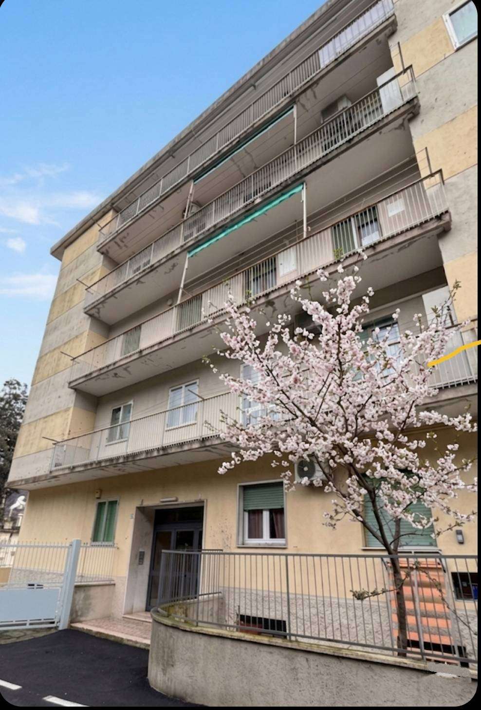 - foto 25