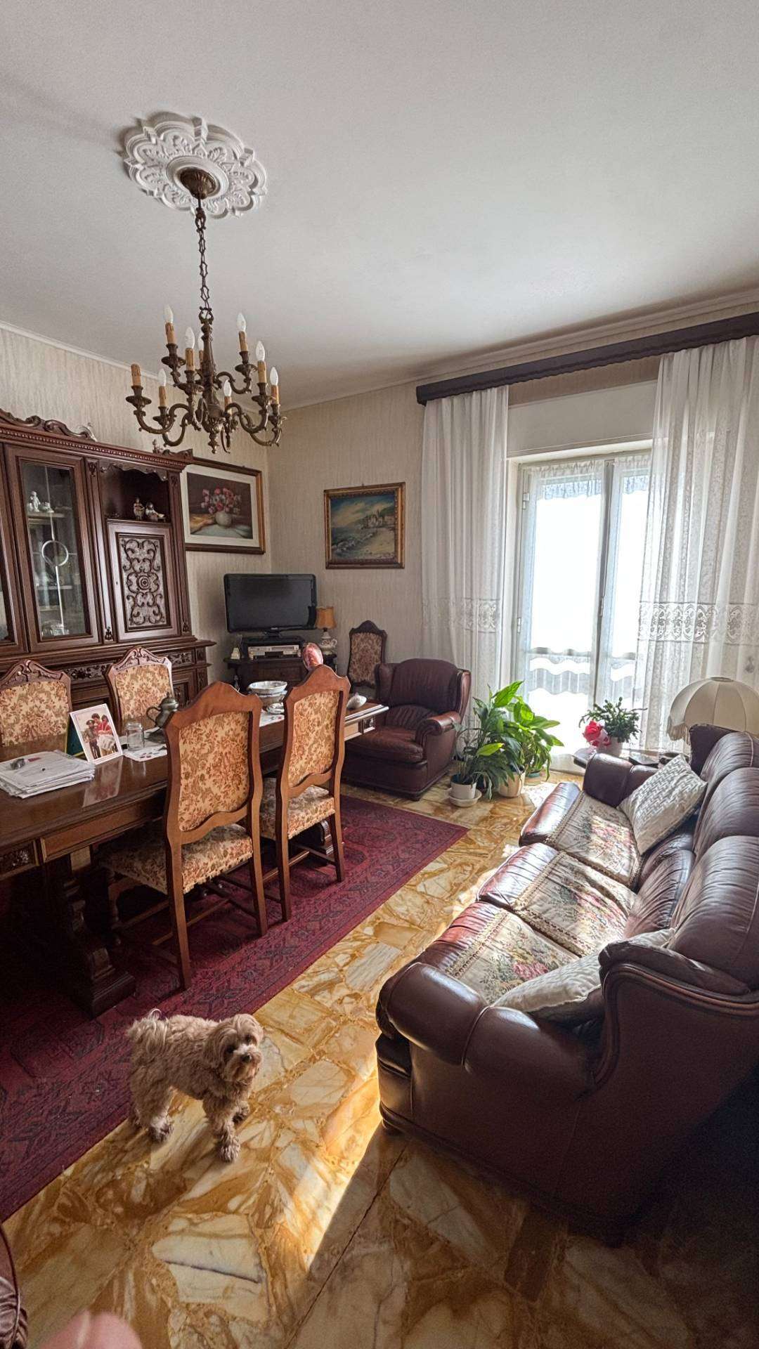  - foto 4