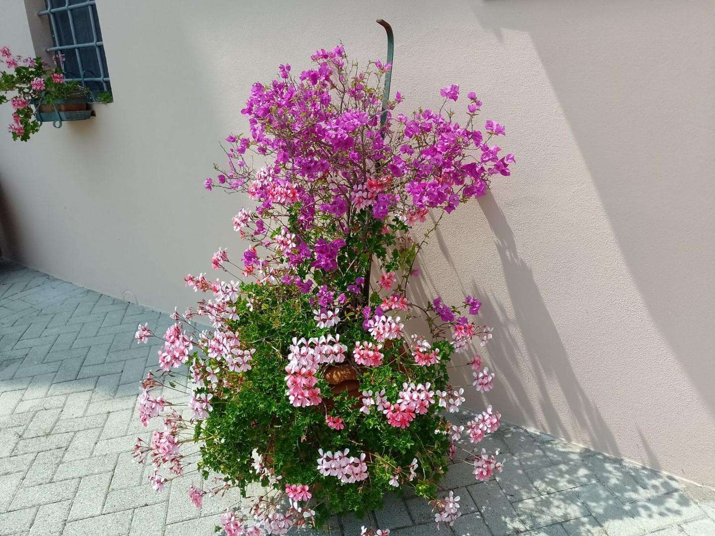  - foto 14