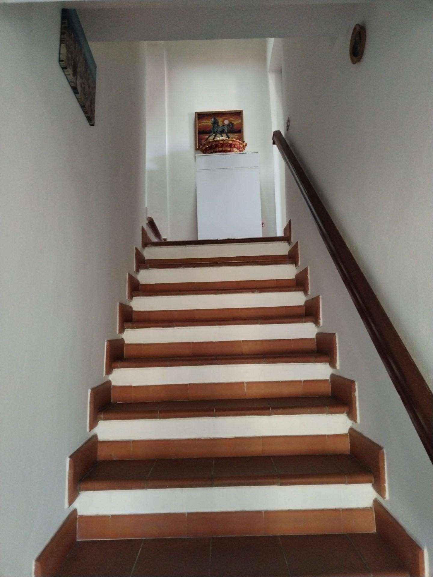 - foto 24