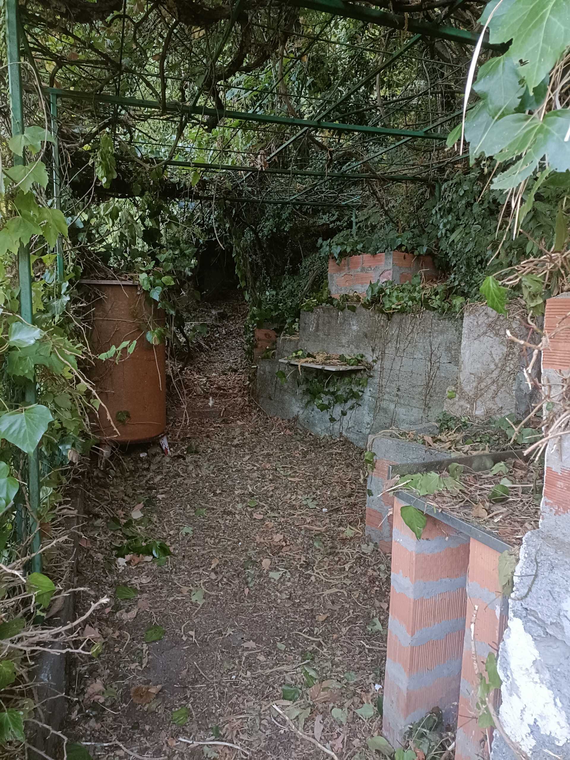  - foto 26