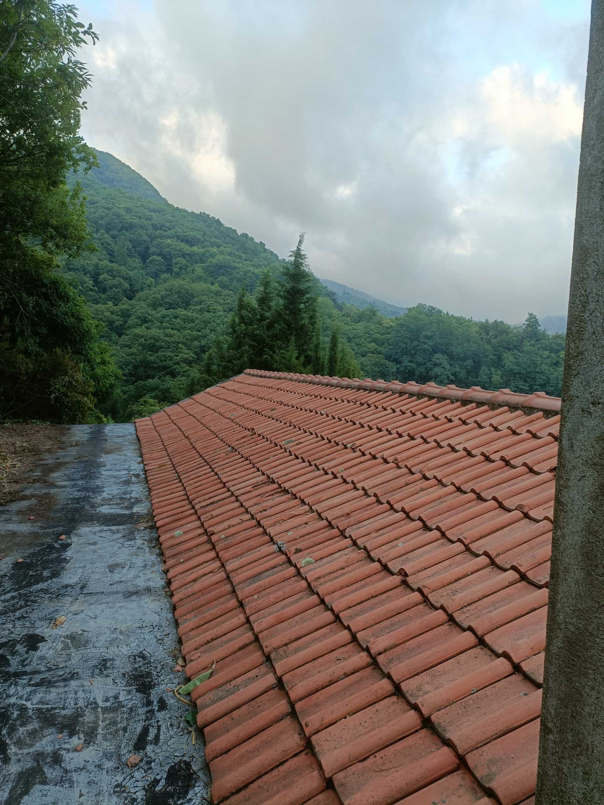  - foto 29
