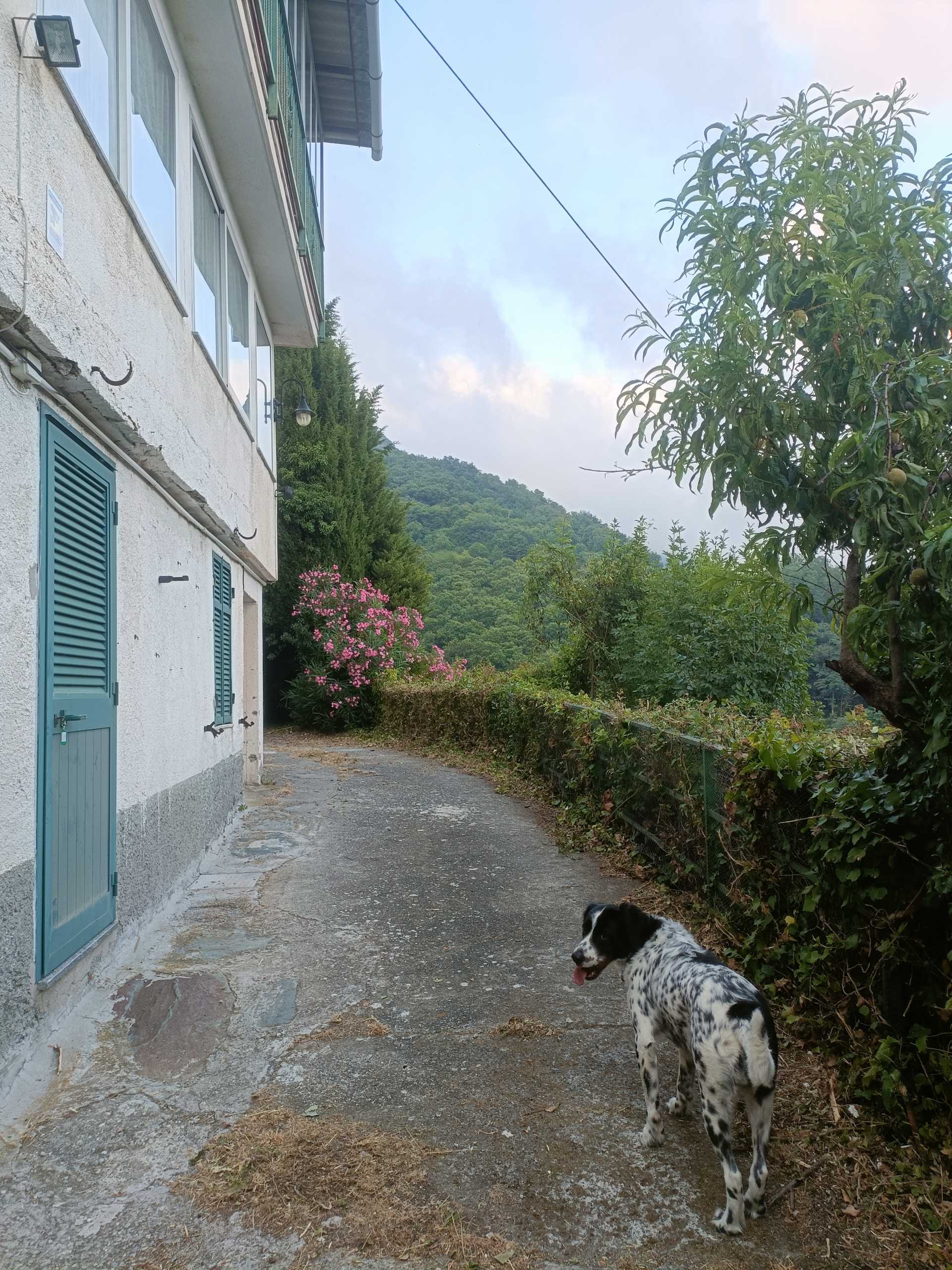 - foto 34