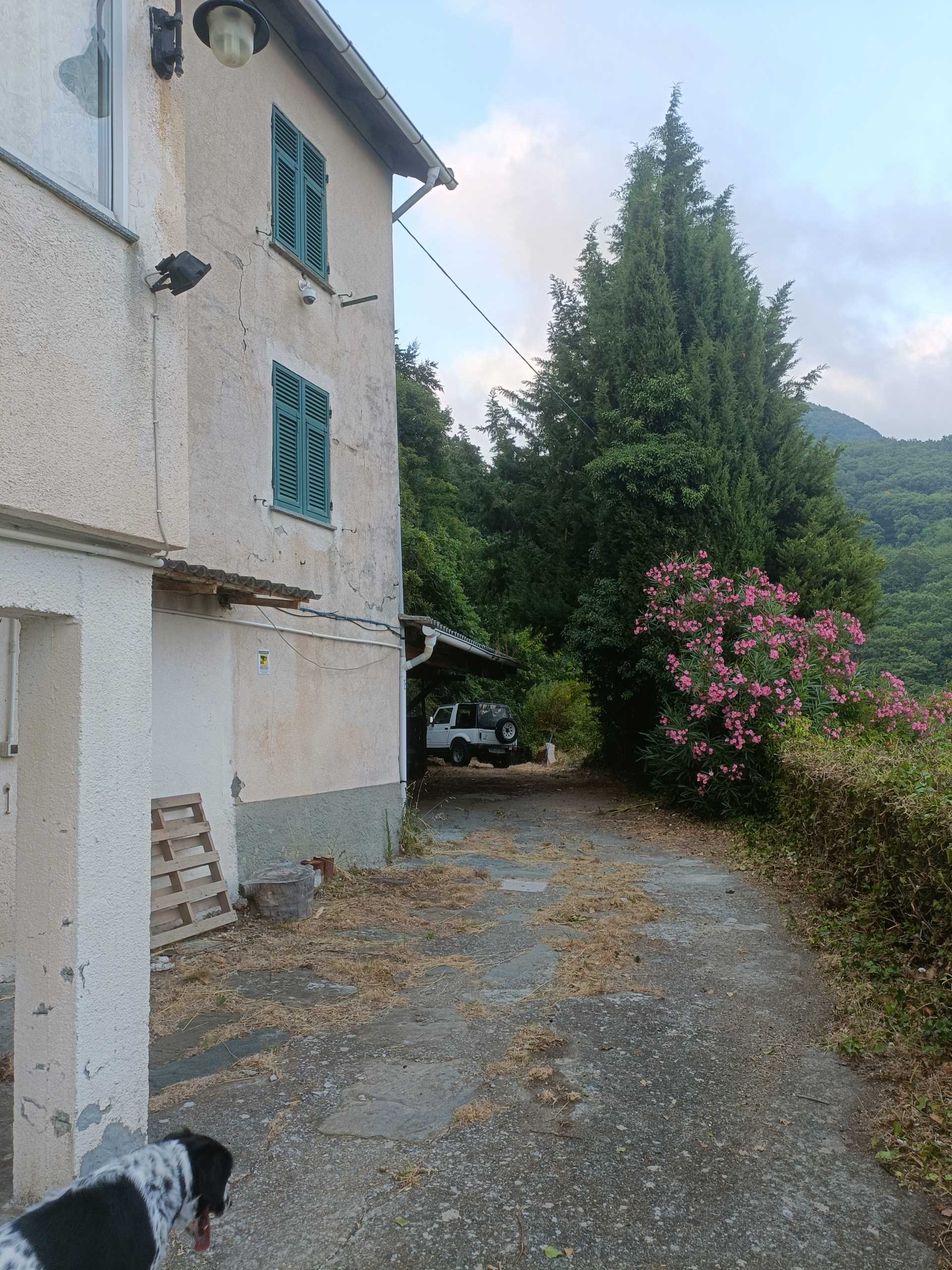  - foto 35