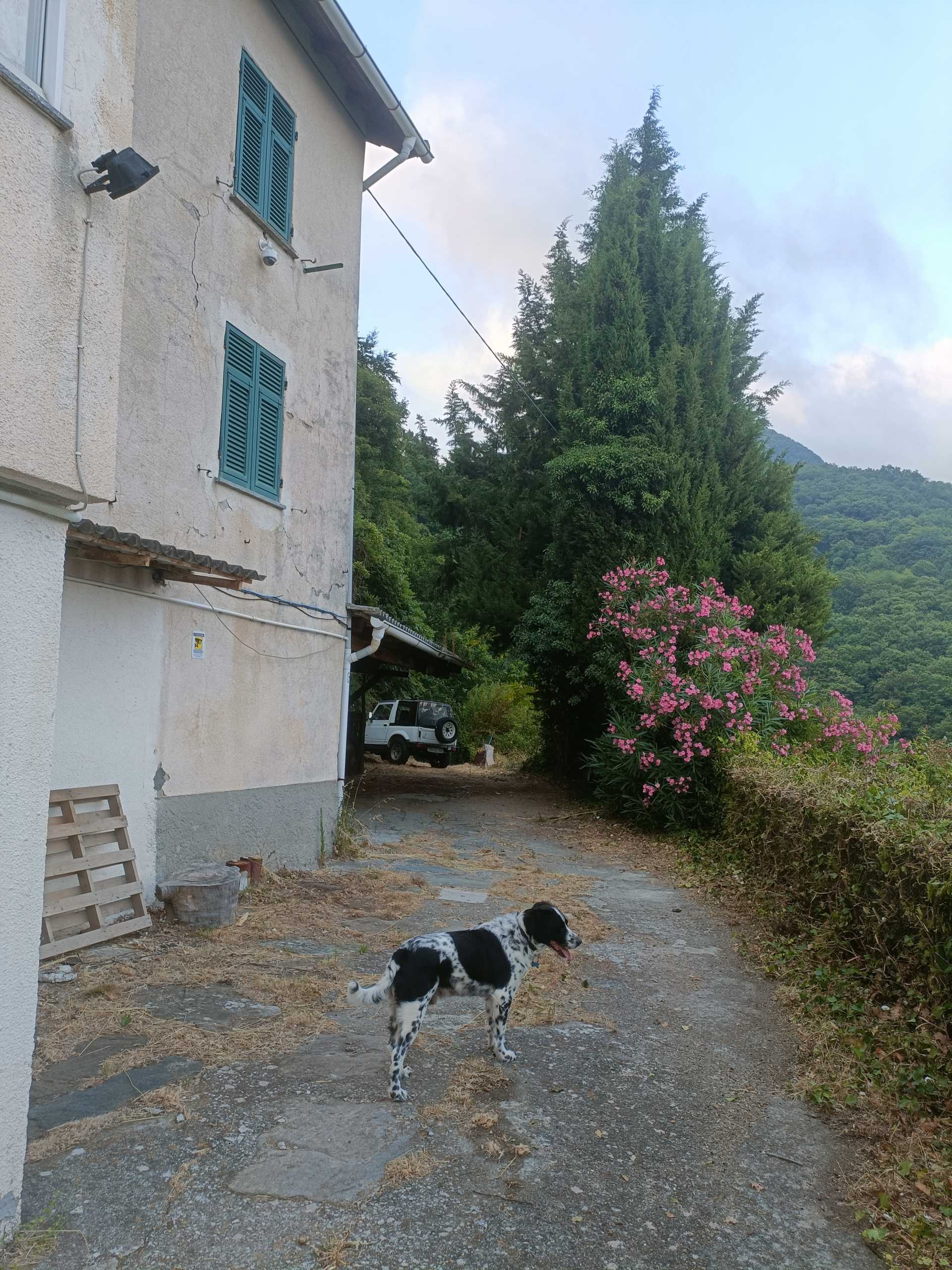  - foto 36