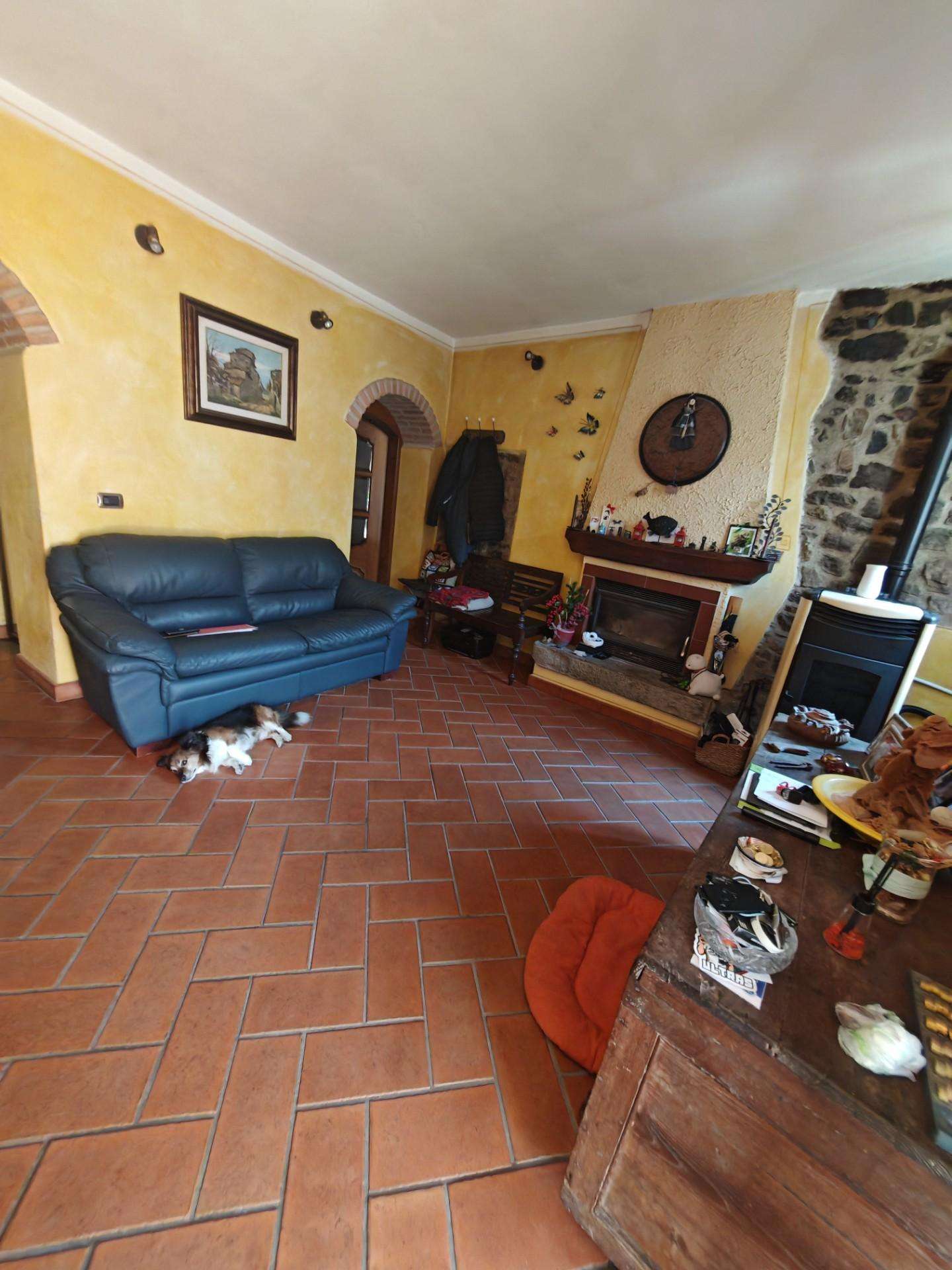  - foto 6