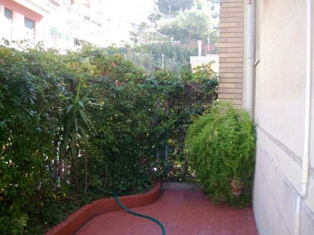 - foto 15