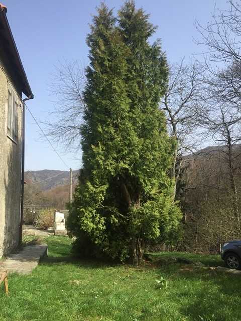  - foto 4