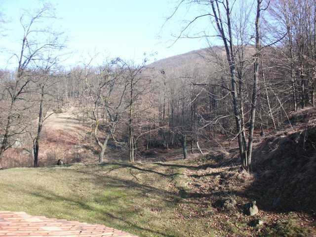 - foto 20