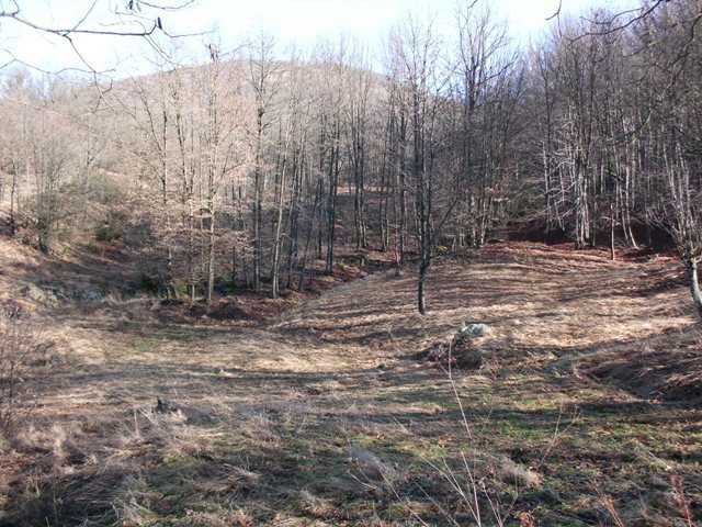  - foto 28