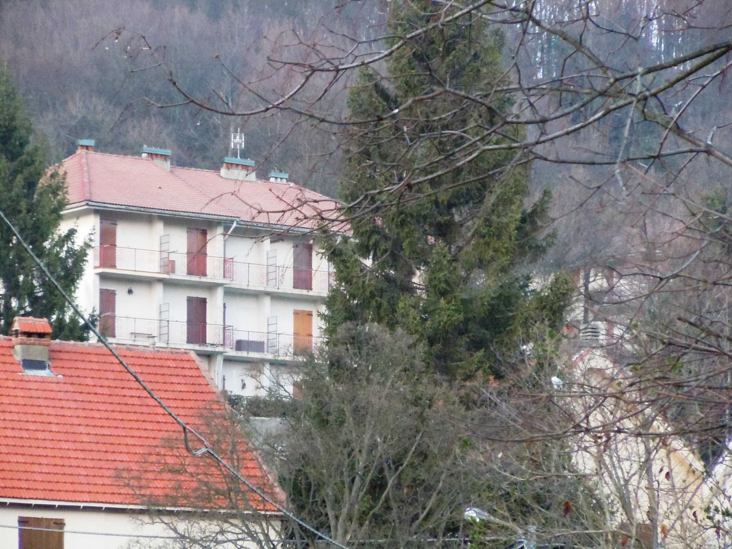  - foto 3