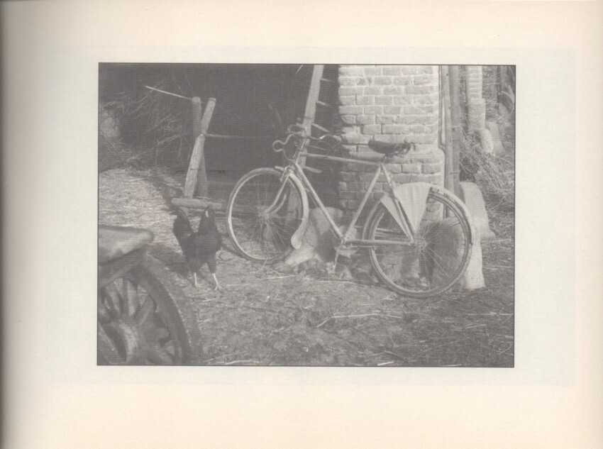  - foto 56